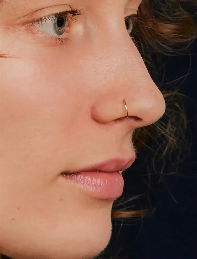 2Pcs Imitation/Artificial Jewellery - Nose Ring