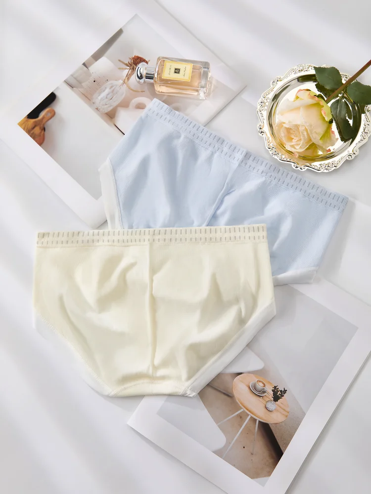 Briefs